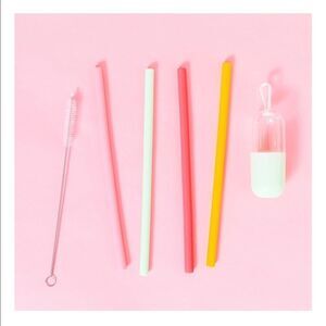Chic and Tonic Silicone Straws
